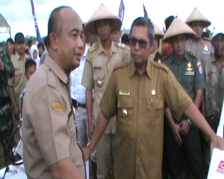 panen perdana 2