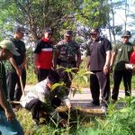 IMG-20170501-WA0013