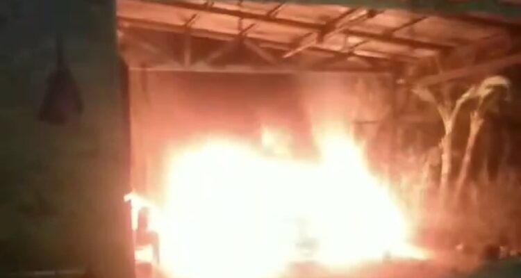 Screenshot_20240211_144610_WhatsAppBusiness