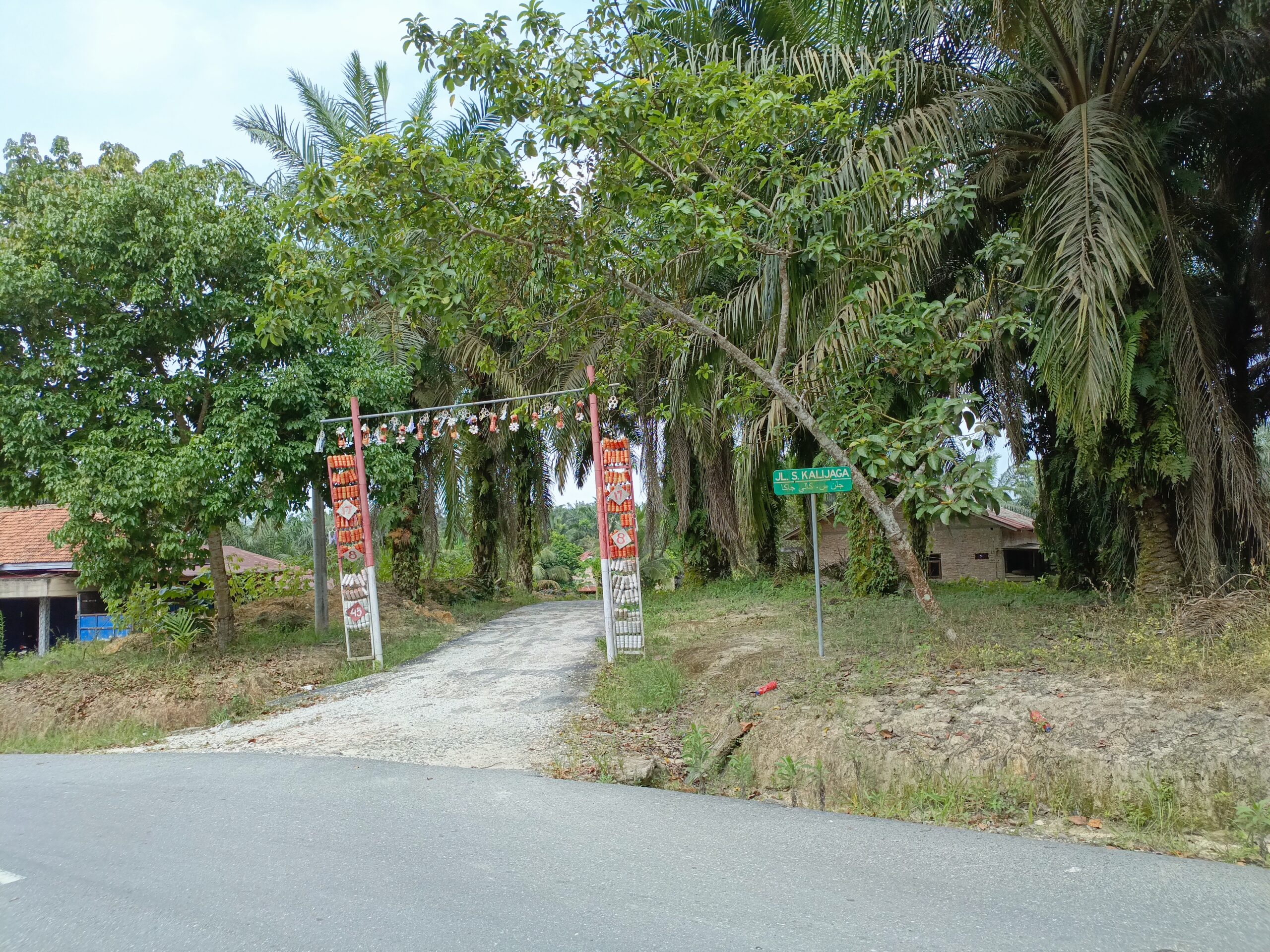 IMG_20240322_145453_398