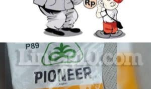 Screenshot_20260314_140011